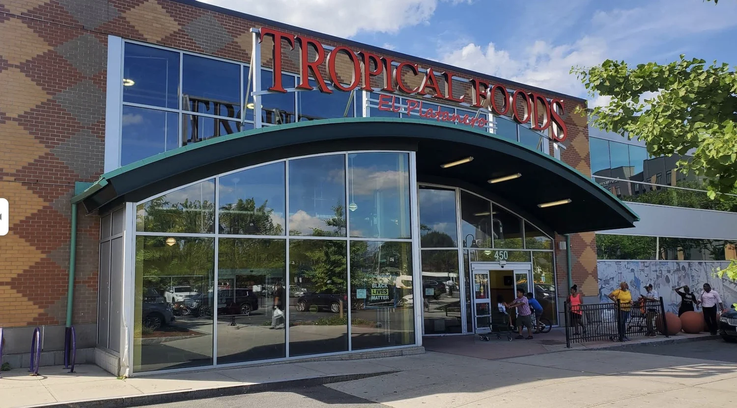 premium cassava leaves for business