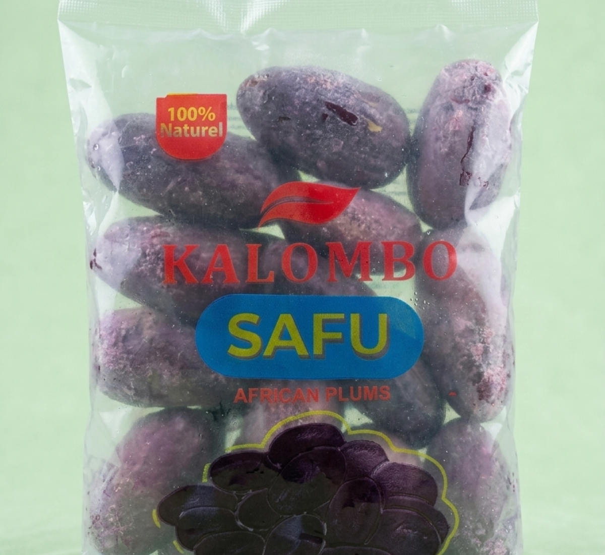 Gemini_Generated_Image_lbiunblbiunblbiu